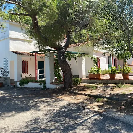 Marina Βιέστε