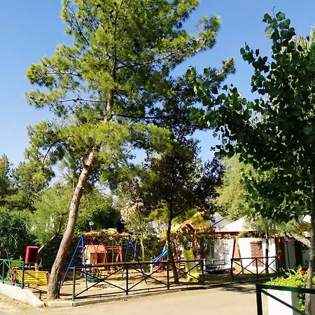 Marina Campsite
