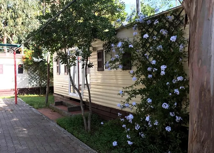 Campingplads Marina Vieste