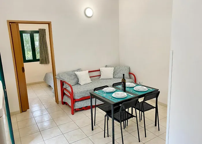 Marina Kamp alanı *